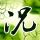 办理高仿新西兰梅西大学学位证【degxx.com】